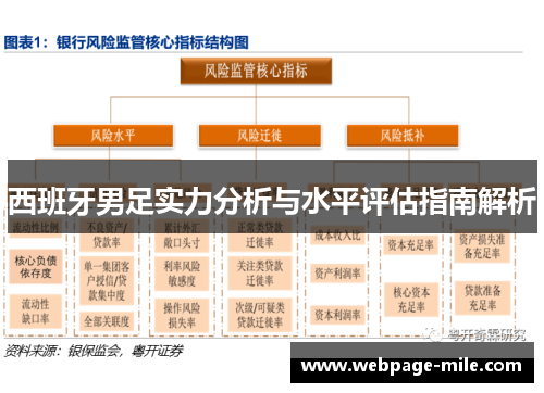 西班牙男足实力分析与水平评估指南解析
