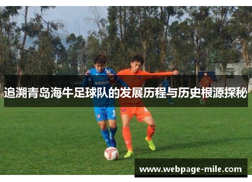 追溯青岛海牛足球队的发展历程与历史根源探秘 追溯青岛海牛足球队的发展历程与历史根源探秘