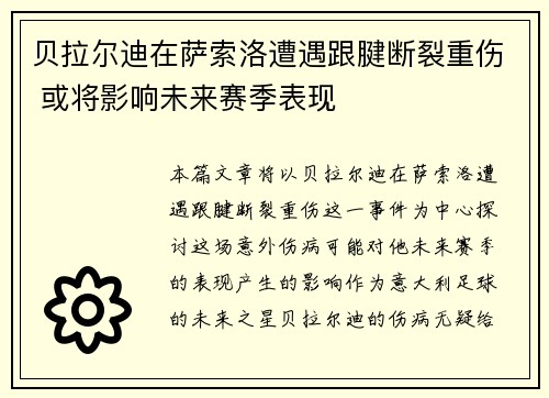 贝拉尔迪在萨索洛遭遇跟腱断裂重伤 或将影响未来赛季表现 贝拉尔迪在萨索洛遭遇跟腱断裂重伤 或将影响未来赛季表现
